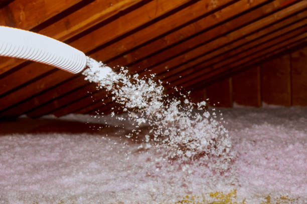 Best Cellulose Insulation in Dellwood, MO