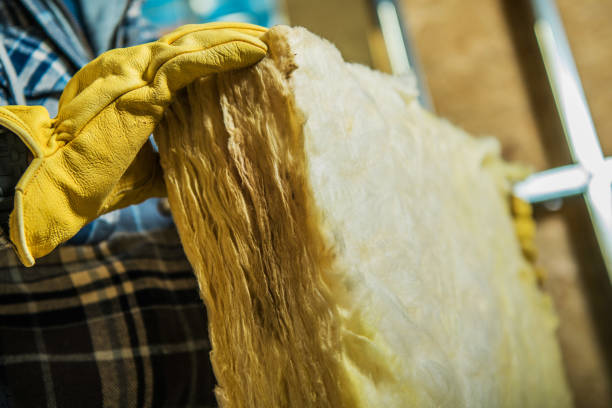 Best Eco-Friendly Insulation in Dellwood, MO
