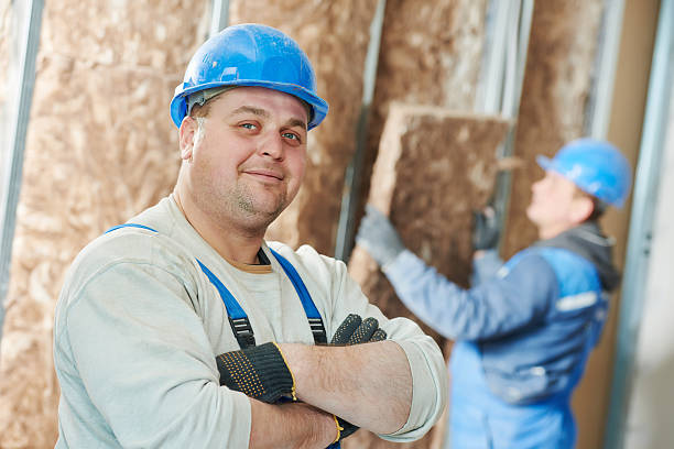 Best Geographic-Specific Insulation Services in Dellwood, MO