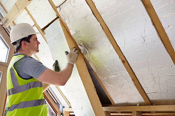 Best Specialized Insulation Services in Dellwood, MO